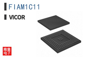 FIAM1C11