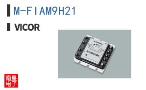 M-FIAM9H21